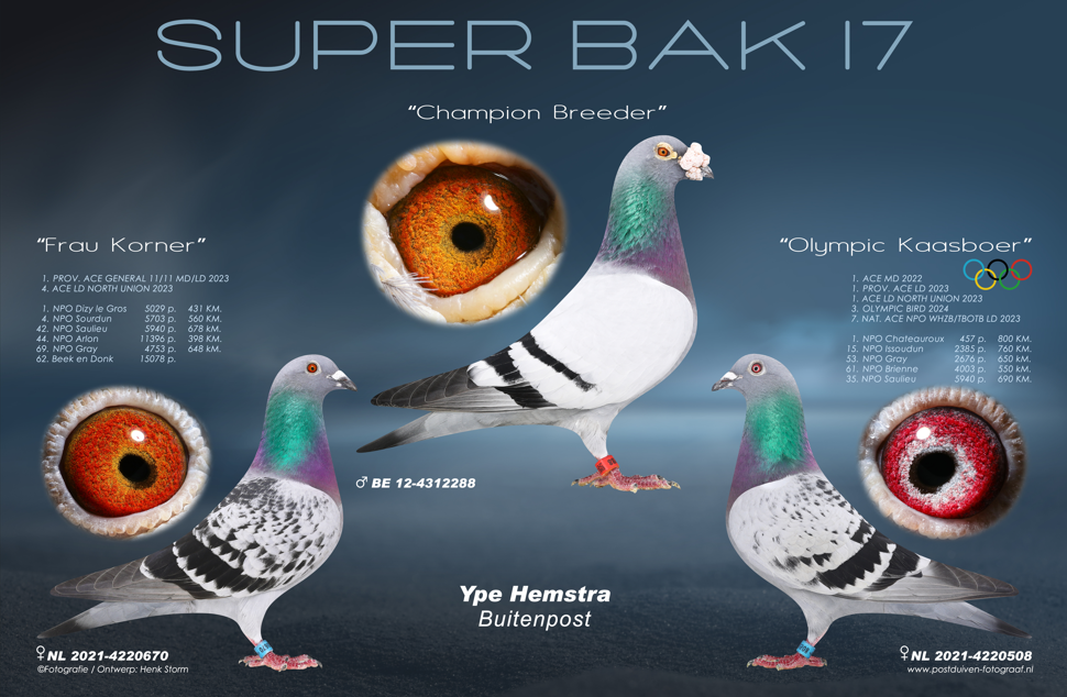 Super Bak 17 - Marcel Aelbrecht
